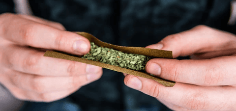 The Science Of Rolling Blunts - High Hemp Herbal Wraps