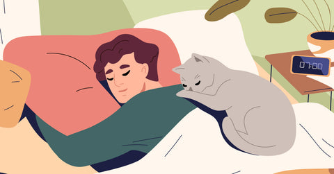 Trouble sleeping? Getting rest is as easy as ‘CBD’.