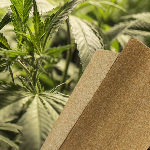 High Hemp Wraps CBD Information High Hemp Paper Hemp Background